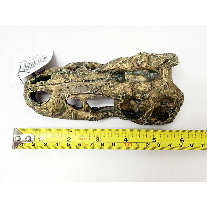 T-Rex Skull Decoration by Jungle Bob 5.5"x3"x2":Jungle Bob's Reptile World