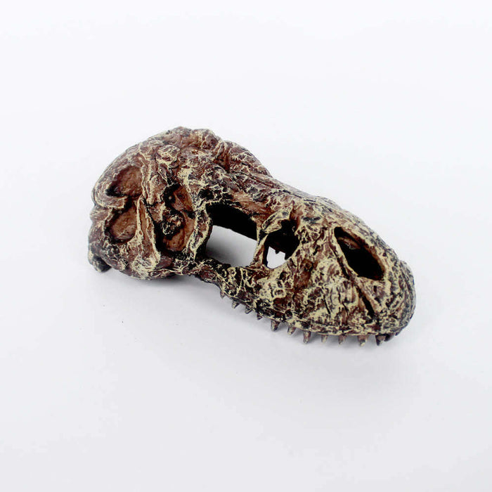 T-Rex Skull Decoration by Jungle Bob 5.5"x3"x2":Jungle Bob's Reptile World