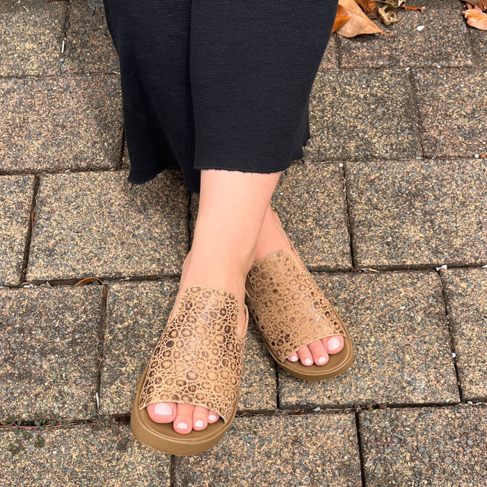 Tango's Paige available in 4 colours
