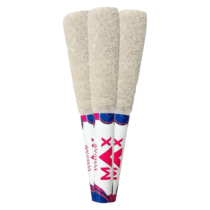 Close-up front view of three THCa2 Lemon Lime Infused PR 3 x 0.5 g pre-rolls with sugar-coated tips and white branded cones.
