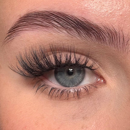 Toxiic Brat Allsorts Half Lashes - Unicorn Cosmetics