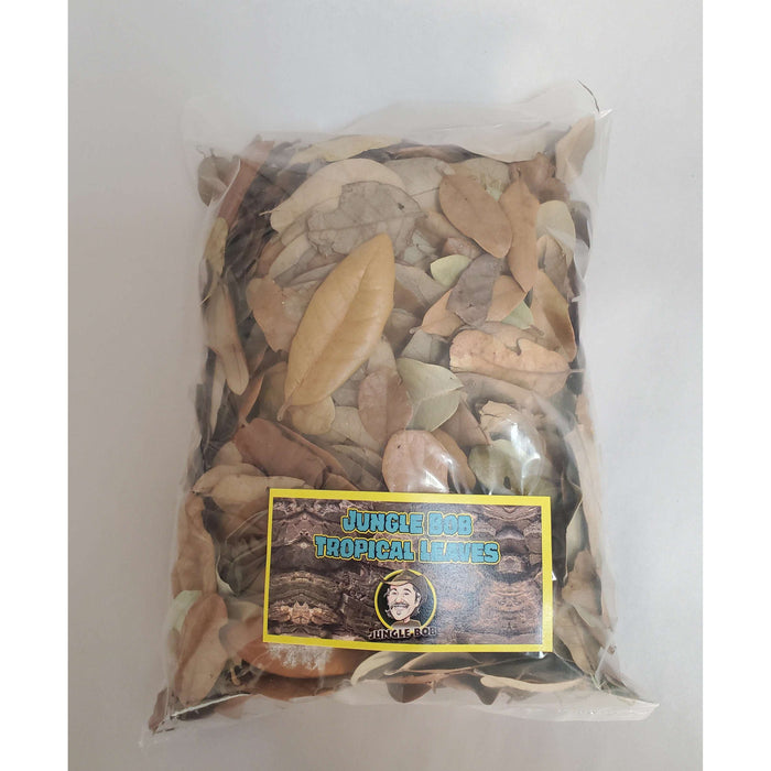 Tropical Leaves Large Bag 100 grams:Jungle Bob's Reptile World