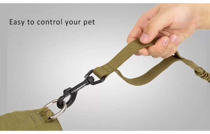 Truelove Durable Bungee Dog Leash TLL2281 - Dog.Dog.Cat.