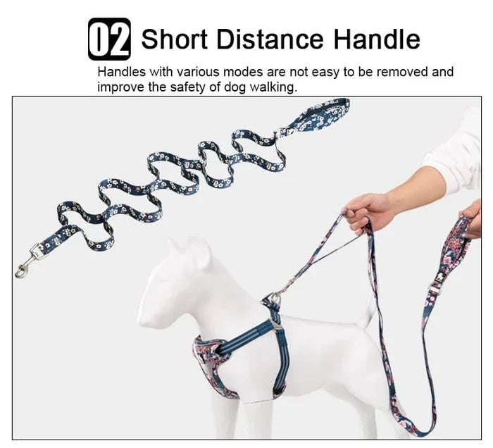 TrueLove Leash TLL3112 - Dog.Dog.Cat.