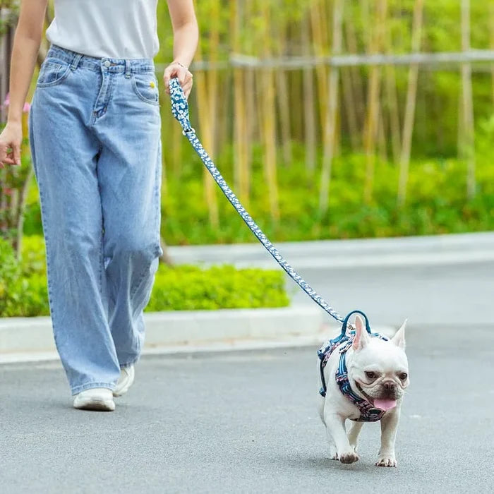TrueLove Leash TLL3112 - Dog.Dog.Cat.