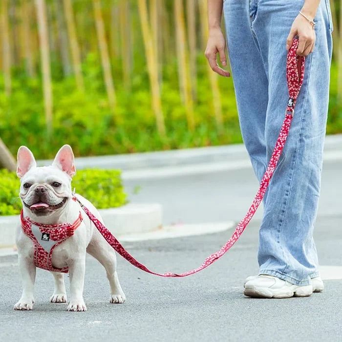 TrueLove Leash TLL3112 - Dog.Dog.Cat.