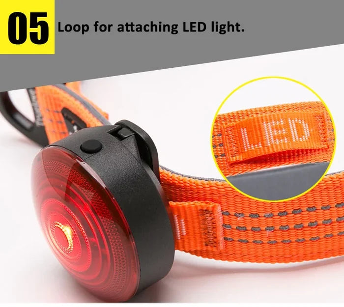 TrueLove Quick Dry Collar TLC5271 - Dog.Dog.Cat.