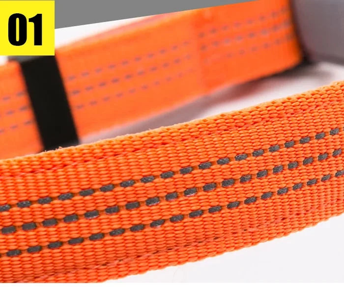 TrueLove Quick Dry Collar TLC5271 - Dog.Dog.Cat.