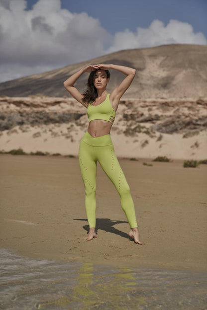 Bitter Lime / S (US 2)