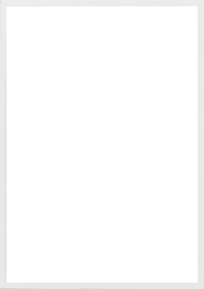 A2 (42x59,4 cm)