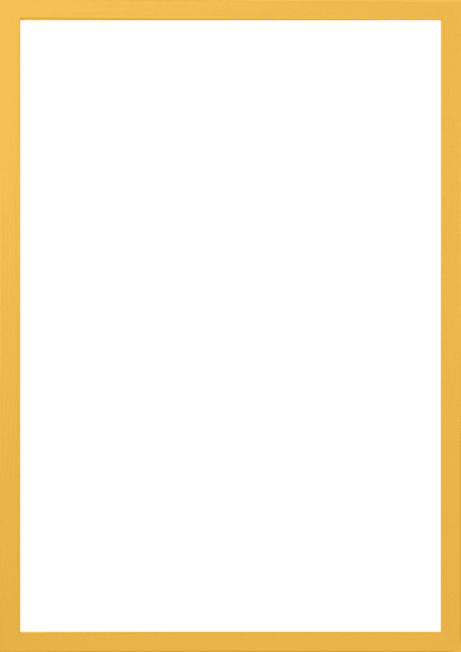 A3 (29,7x42 cm)