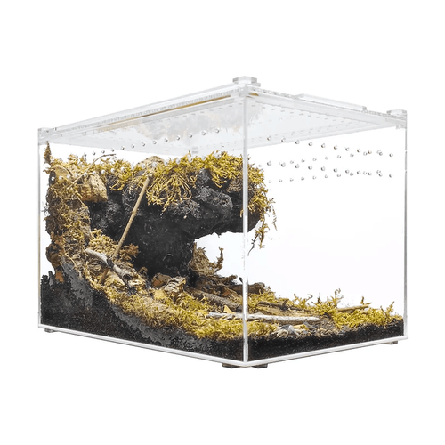YKL 28B Herp Cult Acrylic Enclosure Large Clear Top 12"x8"x8" 3.3 Gallon:Jungle Bob's Reptile World