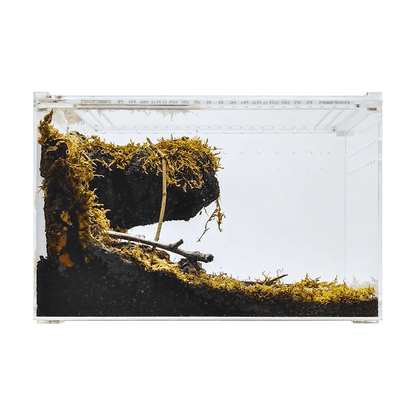 YKL 28B Herp Cult Acrylic Enclosure Large Clear Top 12"x8"x8" 3.3 Gallon:Jungle Bob's Reptile World