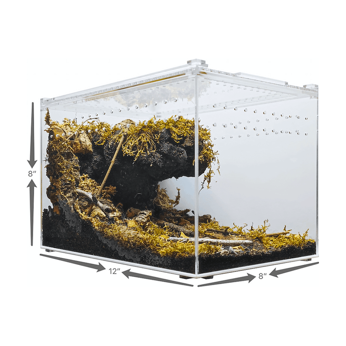 YKL 28B Herp Cult Acrylic Enclosure Large Clear Top 12"x8"x8" 3.3 Gallon:Jungle Bob's Reptile World