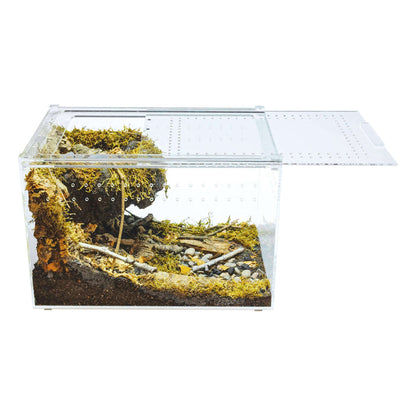 YKL28B HerpCult Acrylic Enclosure Large Clear Top 12"x8"x8" 3.3 Gallon:Jungle Bob's Reptile World