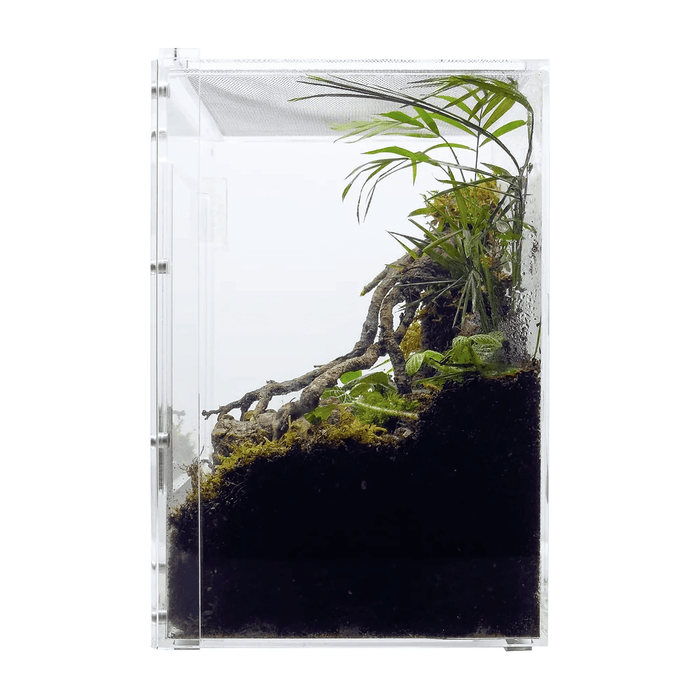 YKL38B-1 HerpCult Acrylic Enclosure Front-Opening Small  8"x8"x12" 3.3 Gallon:Jungle Bob's Reptile World