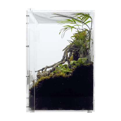 YKL38B-1 HerpCult Acrylic Enclosure Front-Opening Small  8"x8"x12" 3.3 Gallon:Jungle Bob's Reptile World