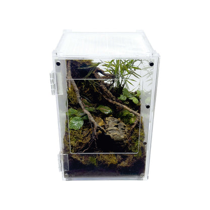YKL38B-1 HerpCult Acrylic Enclosure Front-Opening Small  8"x8"x12" 3.3 Gallon:Jungle Bob's Reptile World
