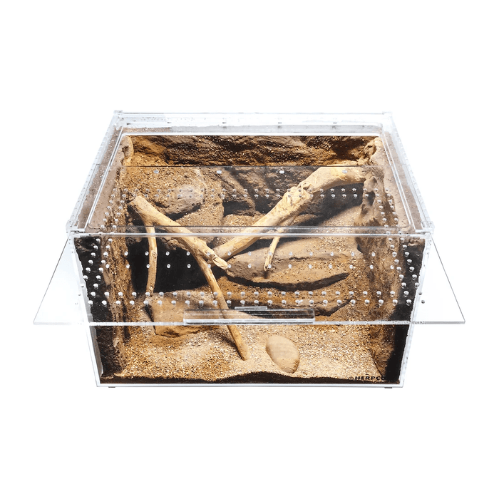 YKL50B HerpCult Acrylic Enclosure XLarge Clear Top 12" x16" x10":Jungle Bob's Reptile World