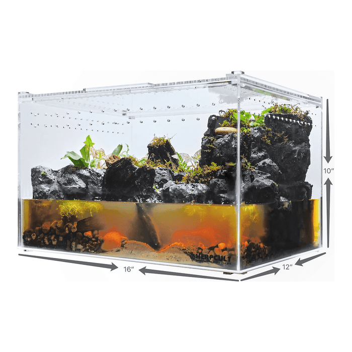 YKL50B HerpCult Acrylic Enclosure XLarge Clear Top 12" x16" x10":Jungle Bob's Reptile World
