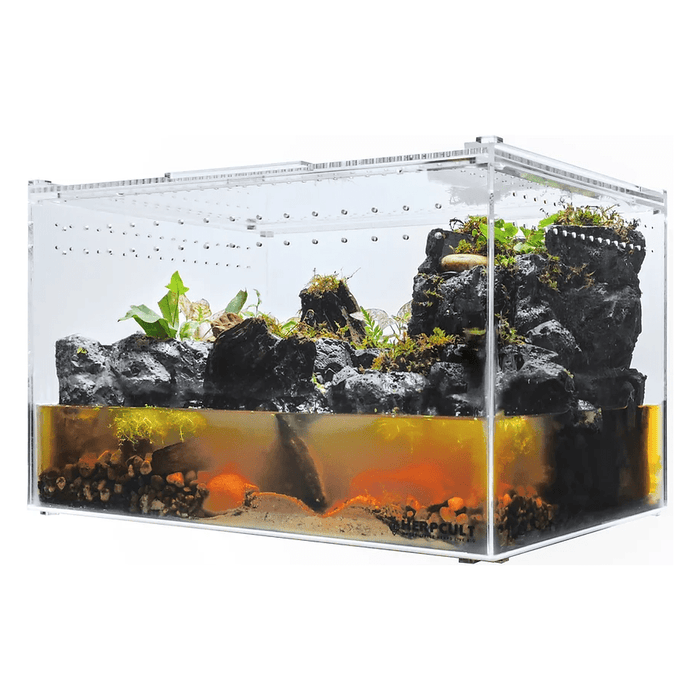 YKL50B HerpCult Acrylic Enclosure XLarge Clear Top 12" x16" x10":Jungle Bob's Reptile World